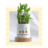 Plants