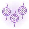 Rakhi Sets Online
