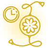 Rakhi - Assured 24 Hour Delivery