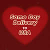 Same Day Delivery to USA