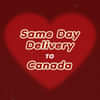 Same Day Delivery to Canada
