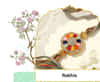 Rakhi Express Delivery